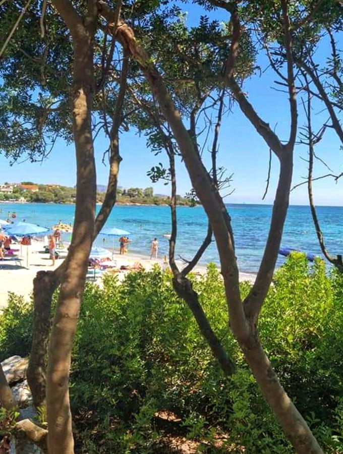 Willa Casa Patrizia Olbia Zewnętrze zdjęcie